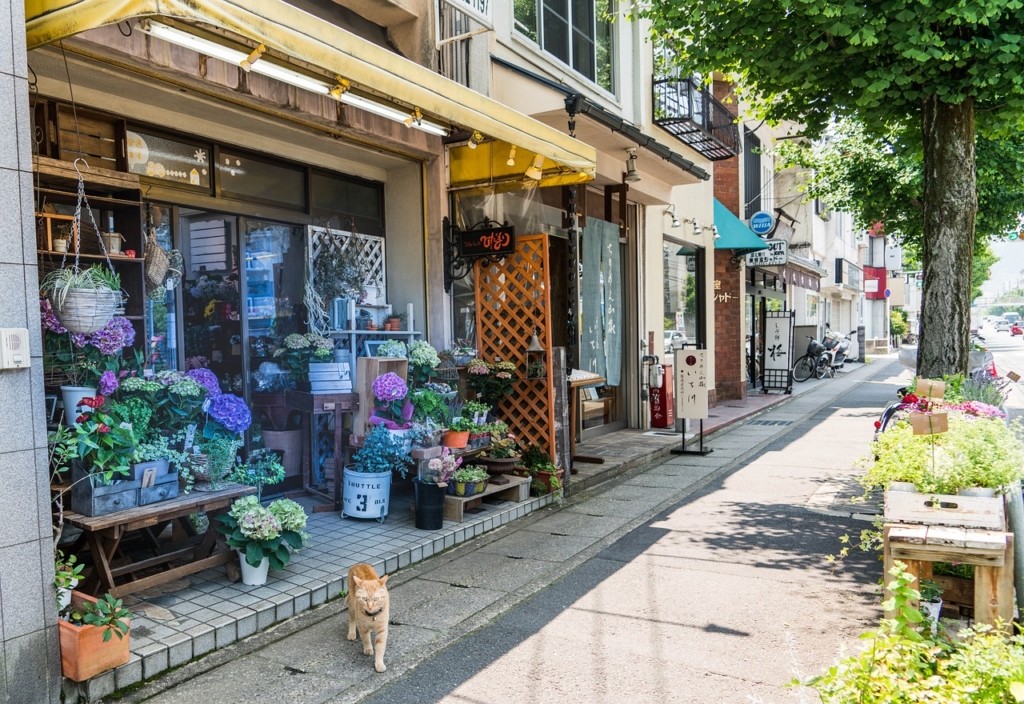 japan, arashiyama, flower shop