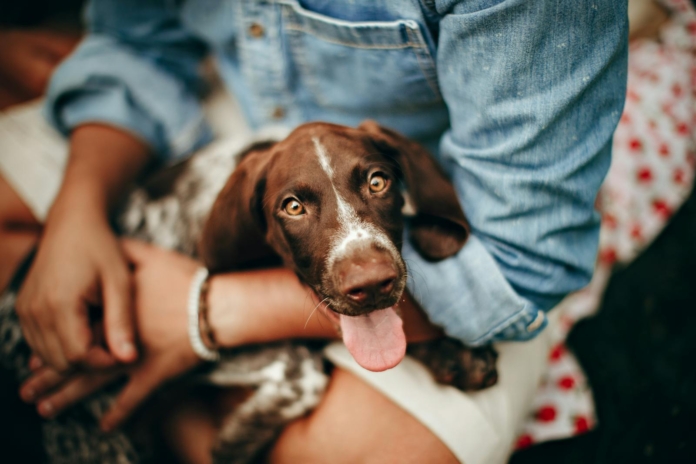 A woman holding a dog in her lap