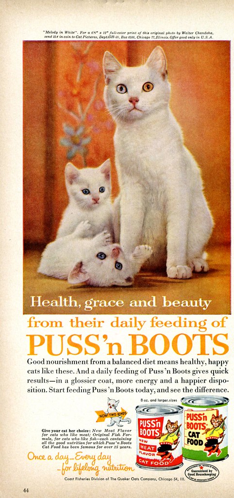 Puss 'n' Boots cat food advertisement from 1961 with three white cats and the text Health, Grace and Beauty