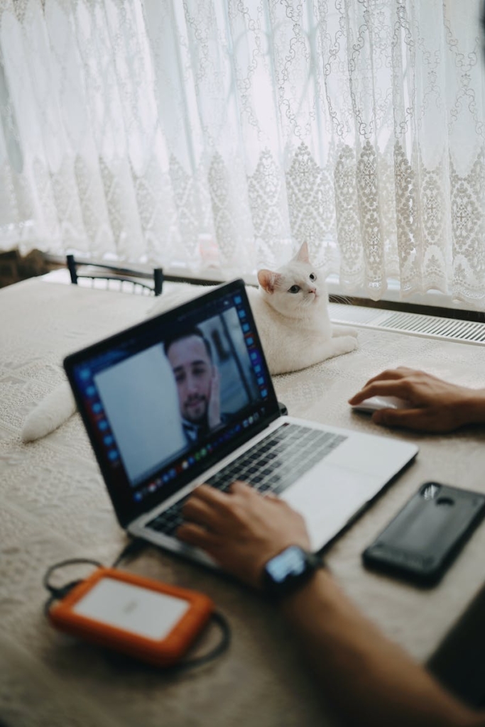 Faceless man editing video on laptop sitting at table near window with cute white cat lying near