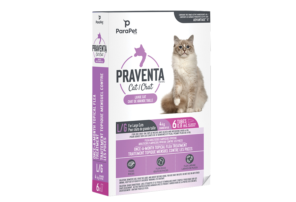 Praventa for Cats