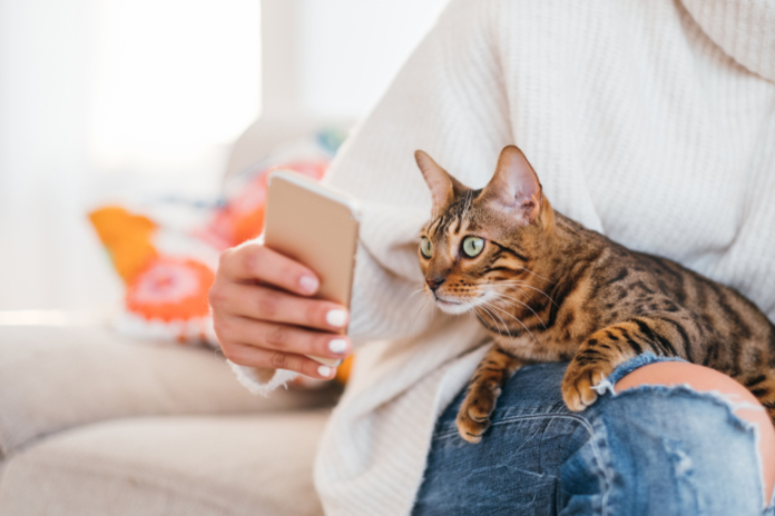 Connected Pet Care