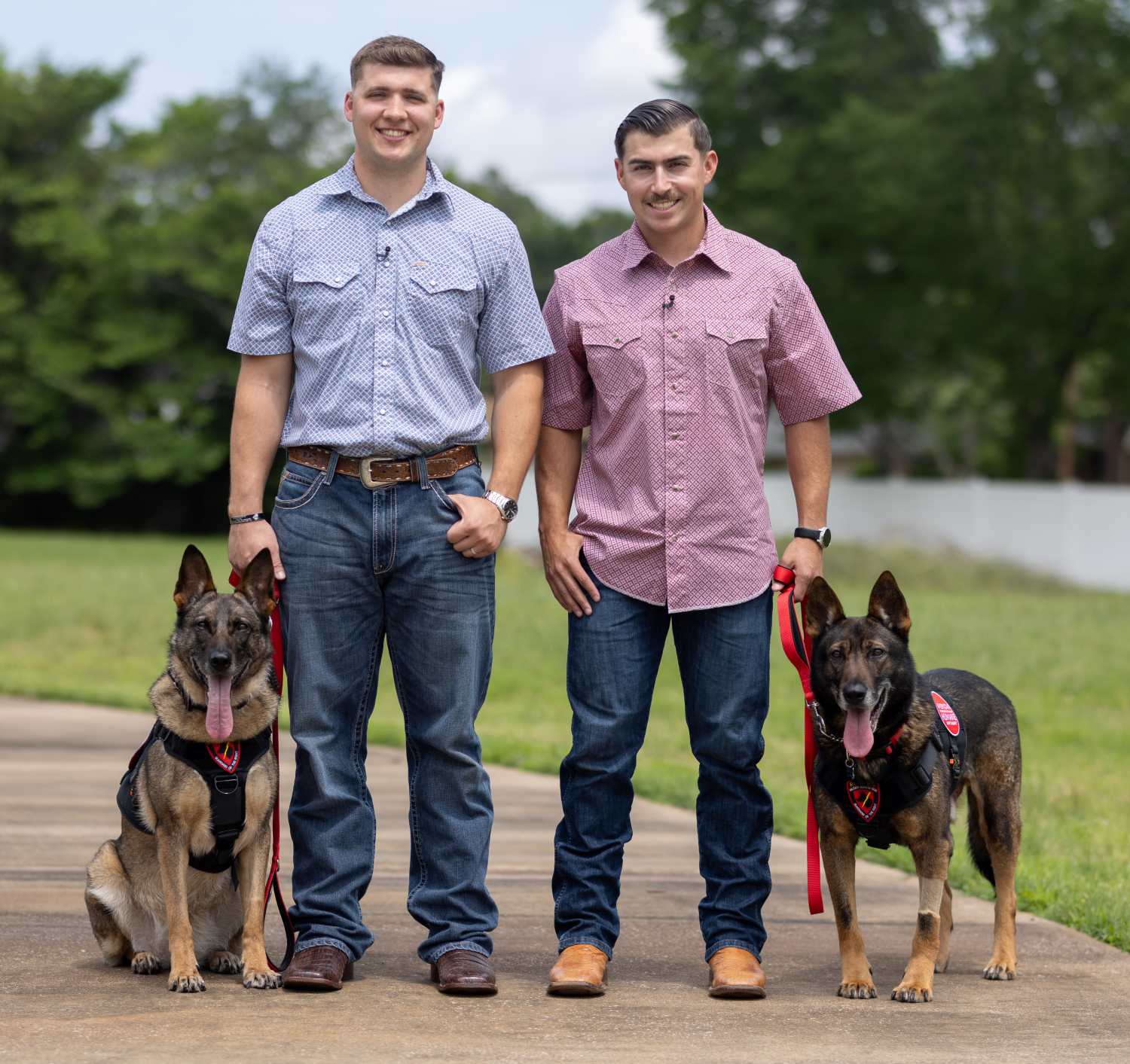 Military dog reunification