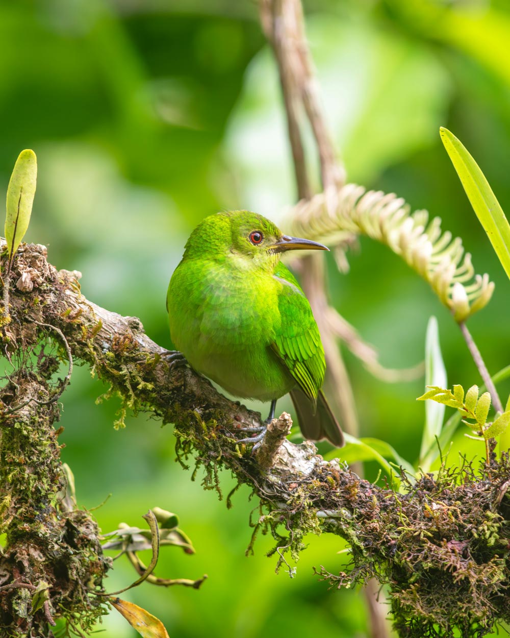 Human activities are the primary cause of the current extinction crisis.