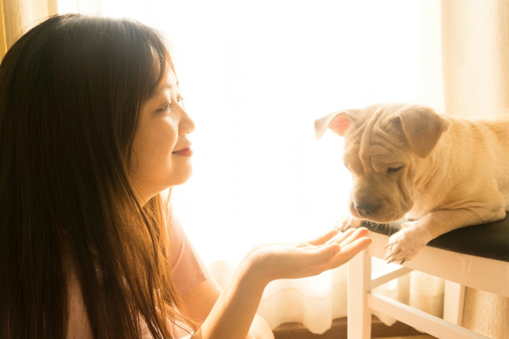 woman in black tank top hugging white short coated dog